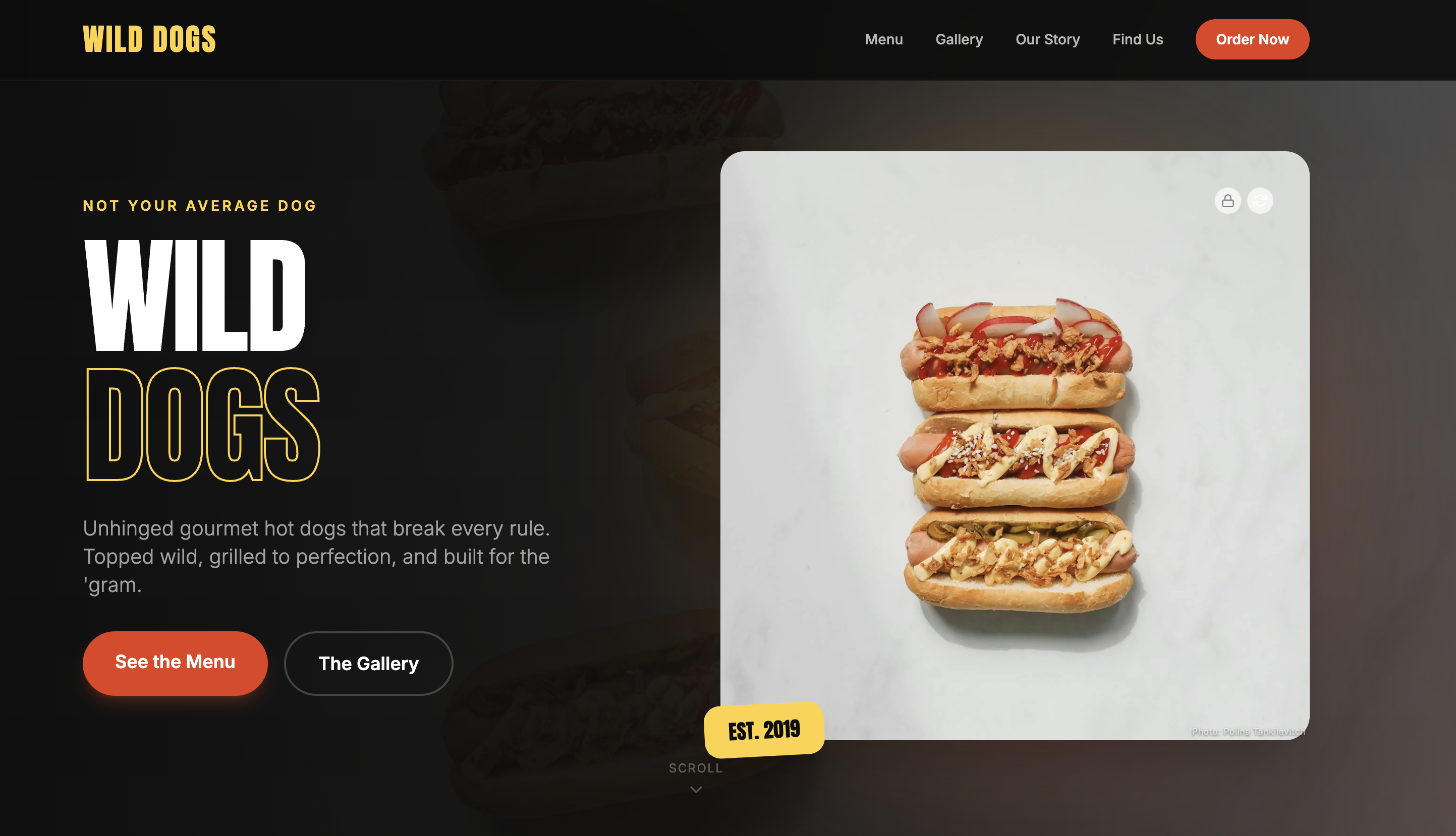 Wild Dogs website built with Kode